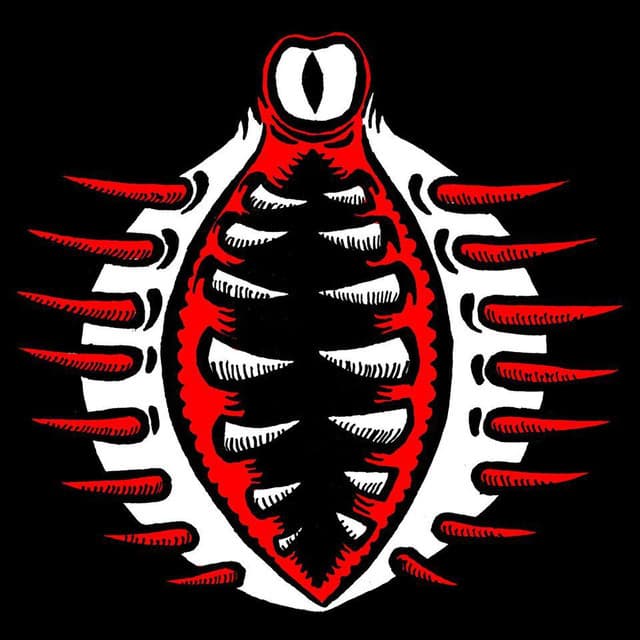 Vulves Assassines